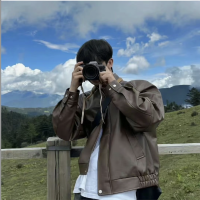 Diandian NPV for China Ryan Profile